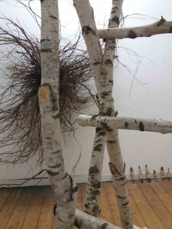 Installation Andreas Schroeder